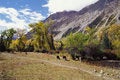 Free Meadows Near The Mountains Stock Photos - 6043733