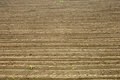 Free Soil Texture Stock Image - 6045971
