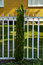 Free Fence With Tree Royalty Free Stock Photography - 6041107