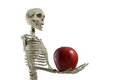 Free Skeletons Offer Stock Photography - 6050602