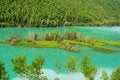 Free Trees And Lake Royalty Free Stock Image - 6051286