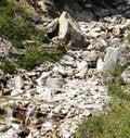 Free Backpacking River Crossing Stock Photos - 6058913