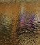 Free Golden Reflections Of The Sun Stock Photography - 6058792
