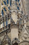 Free Cathedral St Etienne Details Royalty Free Stock Images - 6063989
