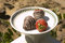 Free Chocolate Cover Strawberries On A Plate Stock Photos - 6067863