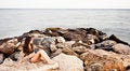 Free Woman In Rocks Royalty Free Stock Photo - 6070575