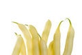 Free Yellow Wax Beans Royalty Free Stock Photos - 6084548