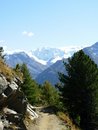 Free Glacier In Swiss Alpes Stock Photos - 6087203