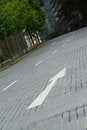 Free Road Direction Arrows Stock Photography - 6089652