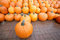 Free Rows Of Pumpkins. Autumn Royalty Free Stock Image - 6082496