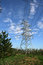 Free Power Pylon Stock Image - 6084561