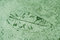 Free Leaf Impression In A Cement Green Sidewalk Stock Photo - 6084600