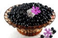 Free Blueberry With Flowers Royalty Free Stock Images - 6096709