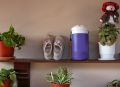 Free Home Objects Stock Photo - 611300