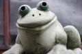 Free Happy Frog Royalty Free Stock Photos - 616778
