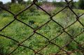 Free A Rusted Net ... Royalty Free Stock Photo - 619805