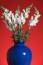 Free Snapdragon Bouquet On Red Background Royalty Free Stock Photography - 615397