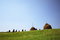 Free Haystacks Stock Photography - 6100282