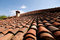 Free Roof With Chimney Stock Images - 6102954