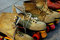 Free Roller Skates Stock Images - 6104384