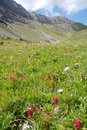 Free Mountains And Alpine Meadow Royalty Free Stock Photos - 6110918