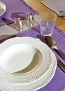 Free Place Setting Royalty Free Stock Photo - 6113025