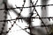Free Lines Of Barbed Wire Royalty Free Stock Images - 6118659