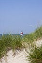 Free Summer Day Royalty Free Stock Photos - 6120698