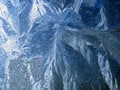 Free Icy Pattern Stock Photo - 6123120