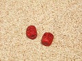 Free Rice And Red Chinese Date Royalty Free Stock Photography - 6124207