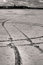Free Tracks In The Sand Royalty Free Stock Image - 6123556