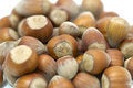 Free Hazel Nut Isolated Stock Photography - 6131482