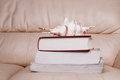 Free Shell On Book Royalty Free Stock Photo - 6131845