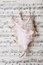 Free Shell On Music Music Score Book Stock Images - 6133384