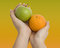 Free Fresh Green Apple Stock Image - 6135931