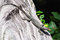 Free A Lizard At A Tree Royalty Free Stock Photo - 6136185