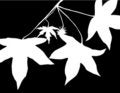 Free Silhouettes Of Leaves Stock Photo - 6143300