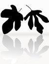 Free Silhouettes Of Leaves Stock Photos - 6143303