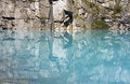 Free Wonderful Lake Stock Photography - 6143792