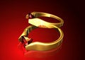 Free Ruby Rings Background Royalty Free Stock Photos - 6147198