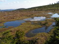 Free Moorland Royalty Free Stock Image - 6149566
