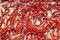 Free Pepper Royalty Free Stock Photography - 6140287