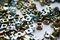 Free Female Screws Royalty Free Stock Image - 6141226