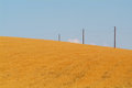 Free Rural Field Stock Image - 6156311