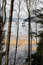 Free Lake, Could Be Seen Through Trees Royalty Free Stock Photography - 6151187