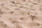 Free Send Texture Stock Photo - 6155820