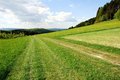 Free Way Of Hill Down Royalty Free Stock Photos - 6161878
