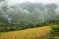 Free Homeland With Clouds Stock Photography - 6162662