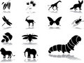 Free Set Icons - 45. Nature Stock Photography - 6165502