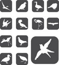 Free Set Buttons - 52_F. Birds Stock Photography - 6168232